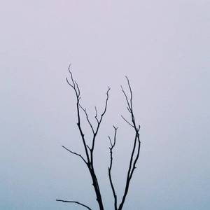 爸爸和女儿玩屁股视频大全
